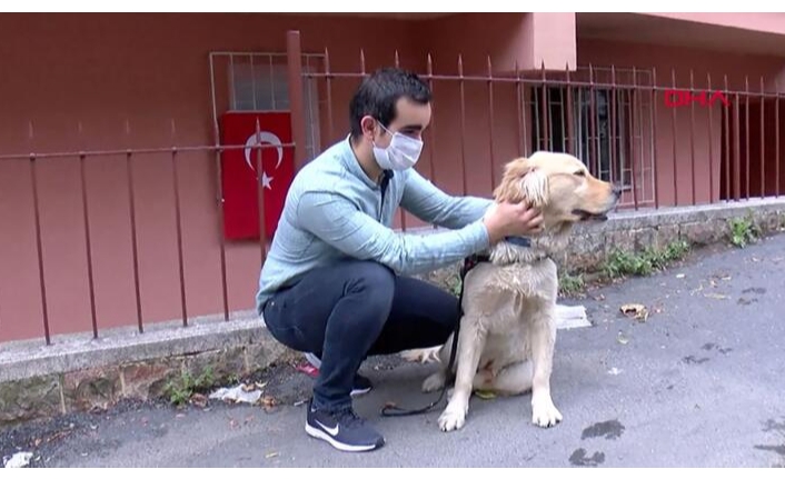 Görme engellilerin can yoldaşı: Rehber Köpekler