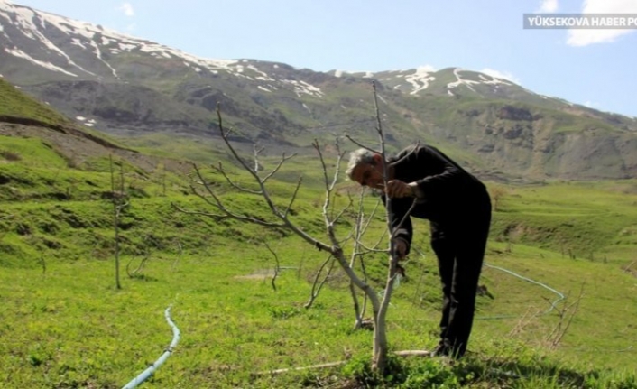 Engelini aşıp ceviz bahçesi kurdu