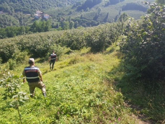 Ordu'da zihinsel engelli kişiden 8 gündür haber alınamıyor