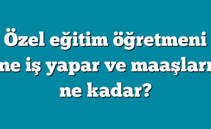 Özel eğitim öğretmenliği nedir? 2020 Maaşları ne kadardır?