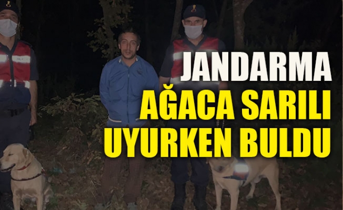 Ormanda kaybolan zihinsel engelli vatandaş ağaca sarılı şekilde uyurken bulundu