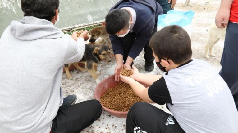 Ankara'da engelli sporcular, harçlıklarıyla aldıkları mamalarla sokak hayvanlarını besledi
