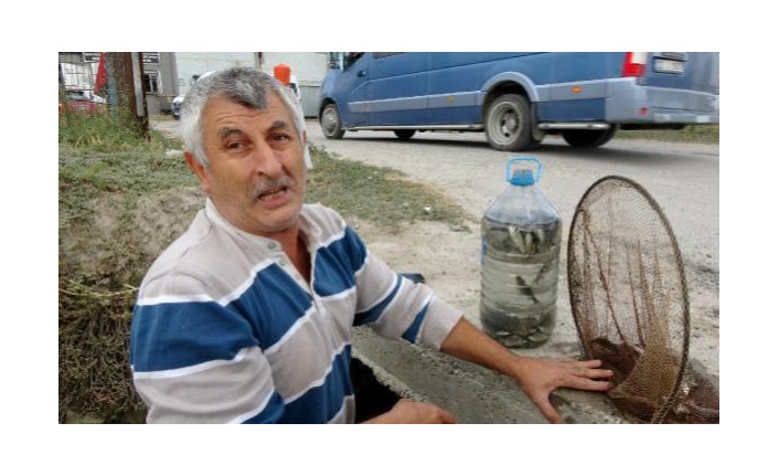 Kuruyan kanaldaki balıkları pet şişelerle nehre taşıyıp, ölümden kurtardı