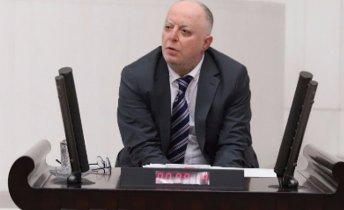 HDP'li Piroğlu, engellilere bütçeden ayrılan payın artırılması gerektiğini söyledi