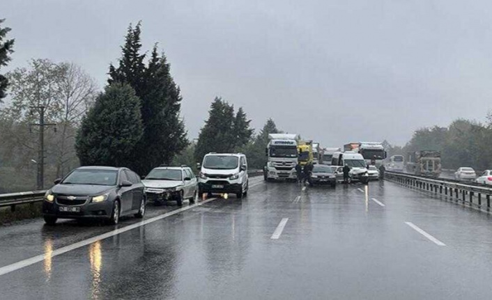 Anadolu Otoyolu'nda otomobilin çarptığı zihinsel engelli öldü.