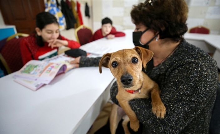 Okul müdürünün köpeği "Tarçın" engellilerin sınıf arkadaşı oldu
