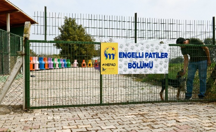 Bursa Mustafakemalpaşa Hayvan Barınağı'nda 'Engelli Hayvan Birimi' açıldı