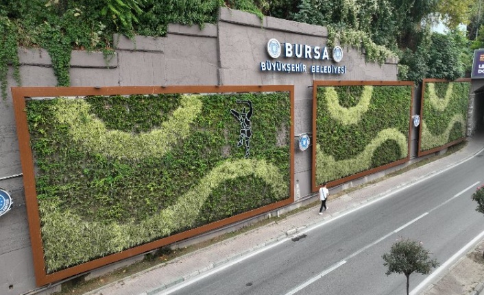 Bursa'da kentin göbeğinde huzur koridoru