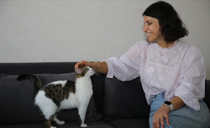 Diyarbakırlı öğretmen sahiplendiği 3'ü engelli 8 kediye şefkatle bakıyor