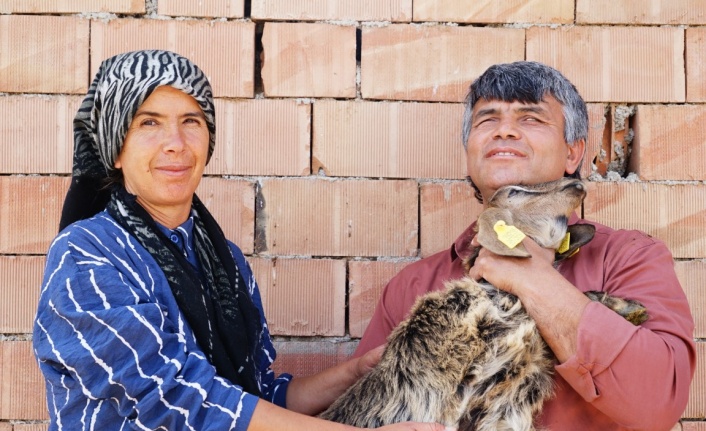 Görme engelli çiftin yaşam azmi: Hayvan otlatıp tarlada çalışıyorlar