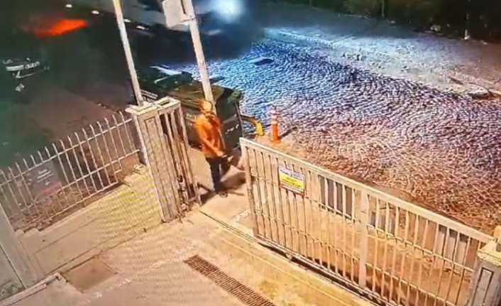 İstanbul’da zihinsel engelli şahsa sokak köpekleri saldırdı