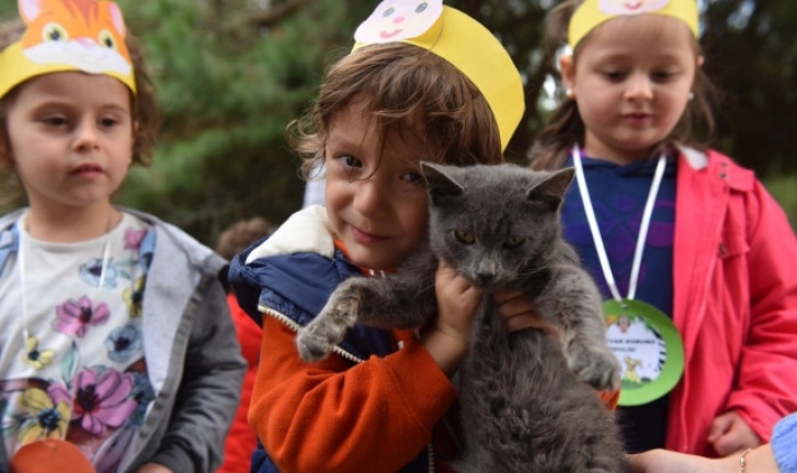 Yıldırım'da 625 patili dost sıcak yuvaya kavuştu