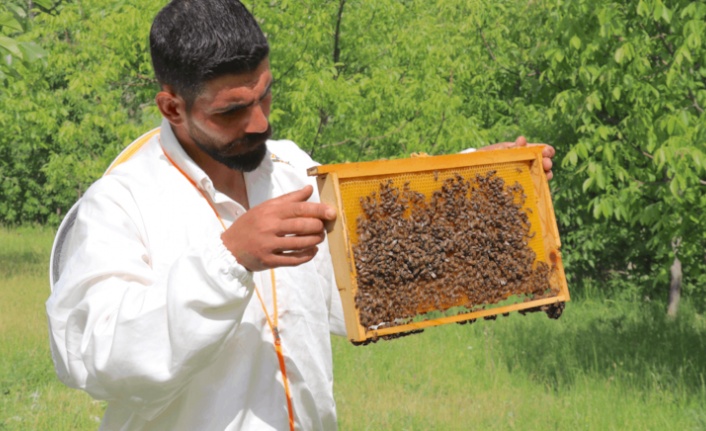 Arıcılığa başlayan engelli girişimci, siparişlere yetişmekte zorlanıyor