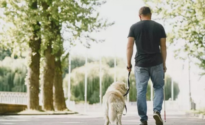 Görme Engelli Bireyi Rehber Köpekle Sosyal Tesise Almayan Belediyeye Para Cezası