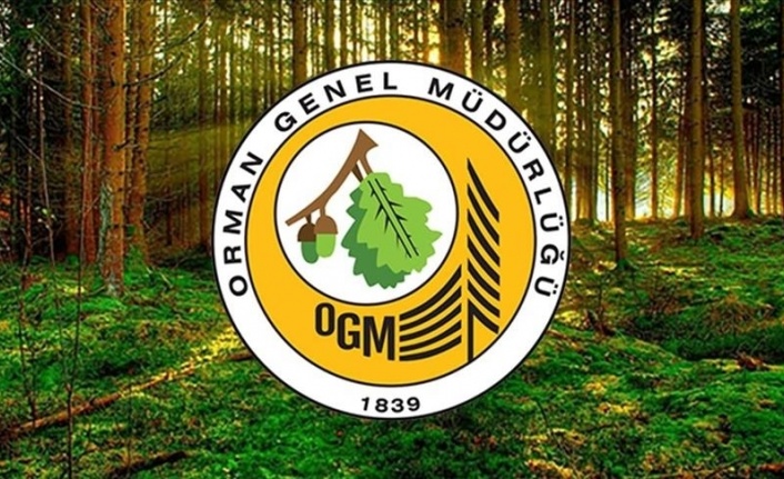 Orman Genel Müdürlüğü 262 daimi işçi alacak