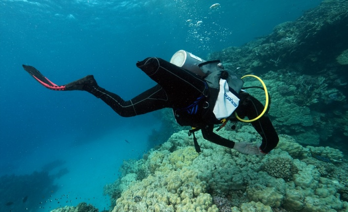 Su altı görüntü yönetmeni Tahsin Ceylan bedensel engelli Özgür Akçı’yla Kızıldeniz’e daldı