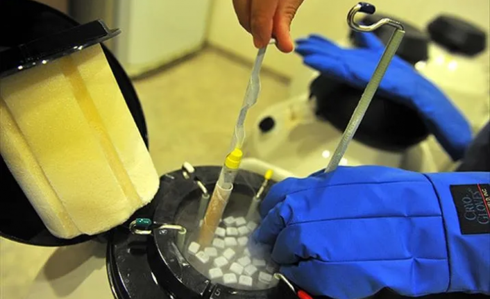 Biyolojik saat durduruldu: 40’lı yaşlardan sonra hamilelik mümkün mü?