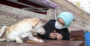 Emine Erdoğan engelli köpek Leblebi'yi sahiplendi, barınağa ilgi arttı.