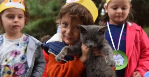 Yıldırım'da 625 patili dost sıcak yuvaya kavuştu