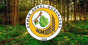 Orman Genel Müdürlüğü 262 daimi işçi alacak