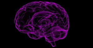 Epilepsinin görünmeyen yüzü: Devlet de patron da aynı...