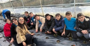 Gördes’te çilekler engelliler için yetişecek