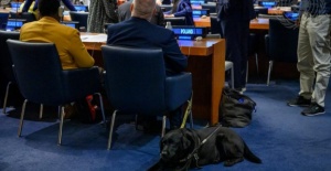 BM COSP19’da Engelli Haklarının Geleceği Masaya Yatırıldı
